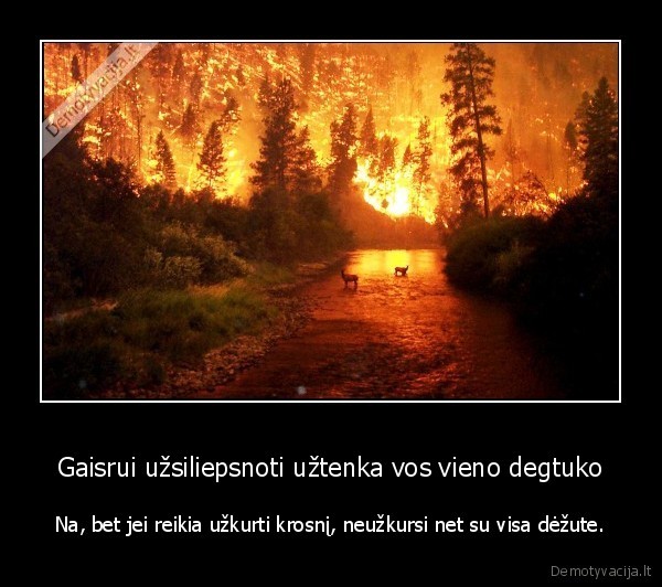 Gaisrui užsiliepsnoti užtenka vos vieno degtuko