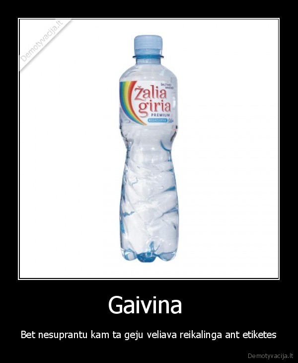 Gaivina 
