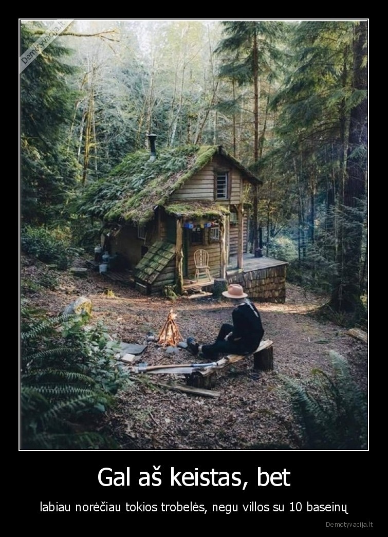 troba,keistas,villa,gamta,miskas