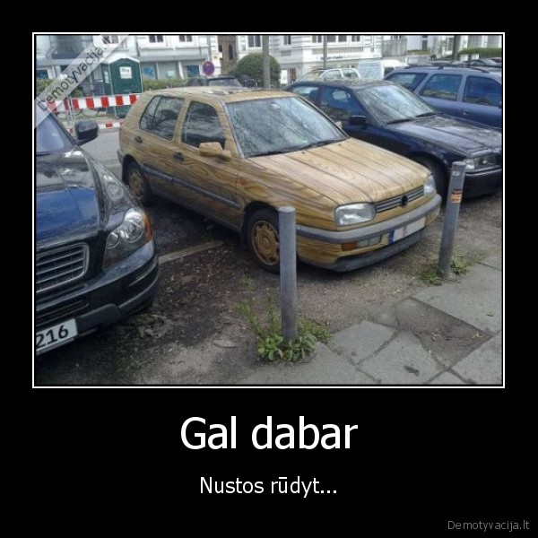 golfas,volkswagen, golf