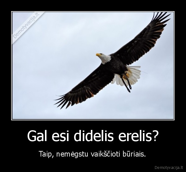 erelis,zmogus,budas,gal,esi,didelis,erelis