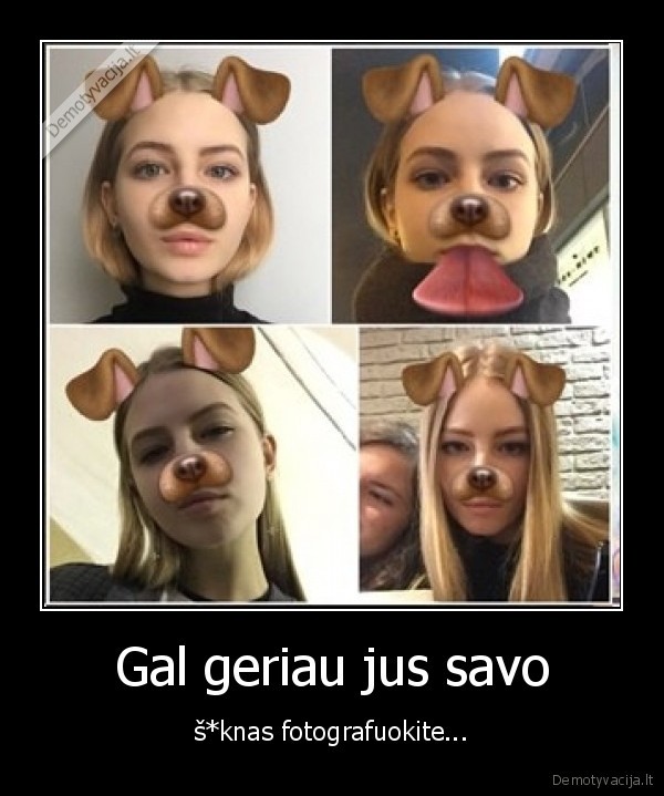 puppy, filter,snapchat