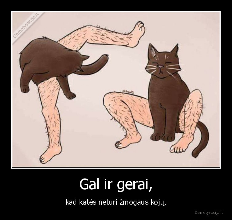 kate,katinas,kojos,wtf