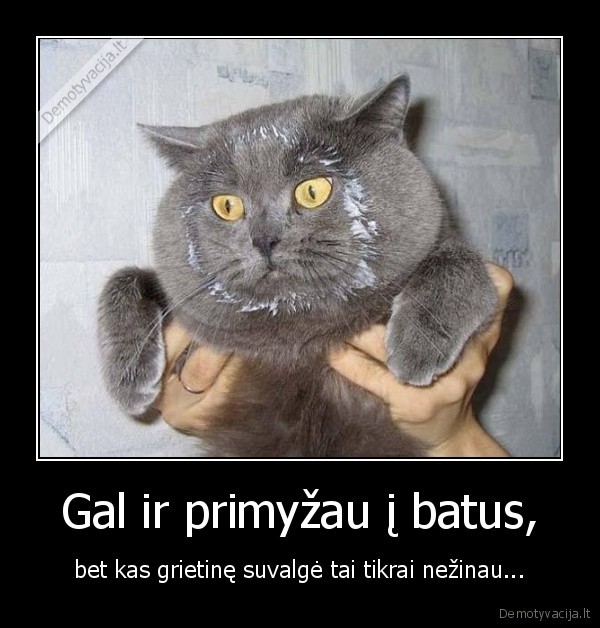 Gal ir primyžau į batus,
