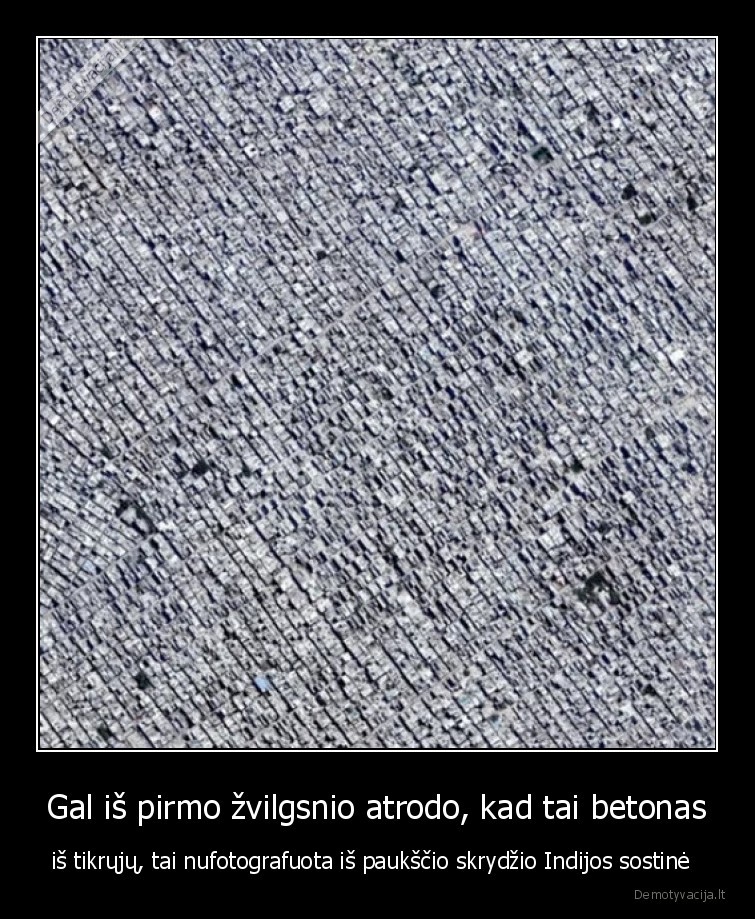 indija,indijos, sostine,is, paukscio, skrydzio,aukstai,nuotrauka