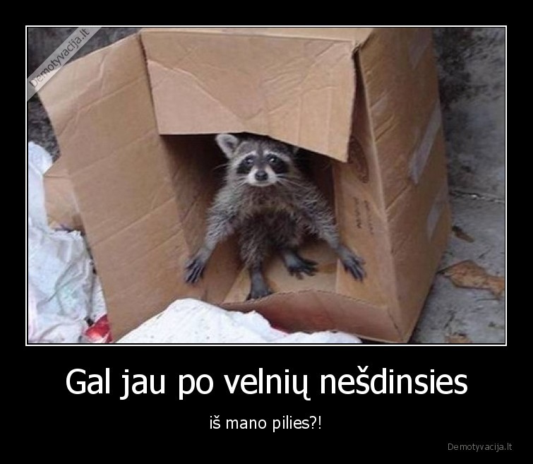 piktas, meskenas,pilis,gal, nesdinsies