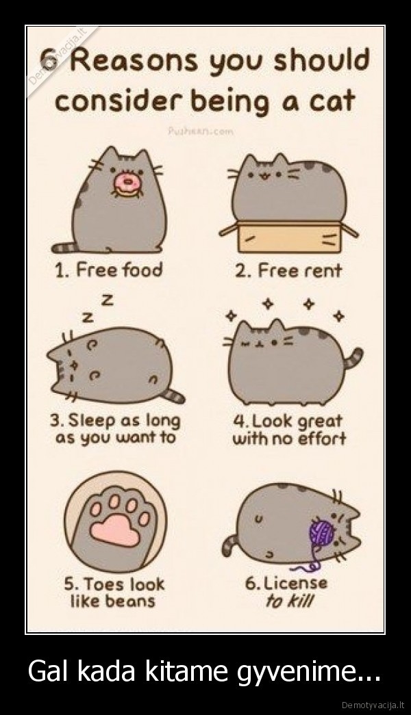 Gal kada kitame gyvenime...