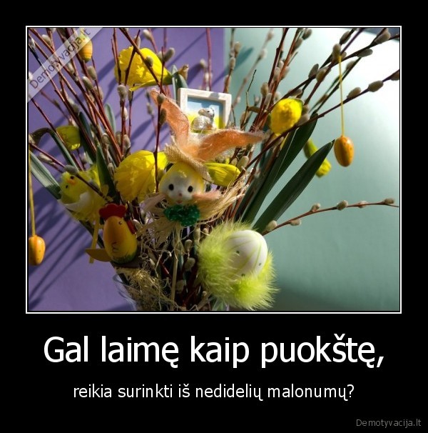 Gal laimę kaip puokštę,