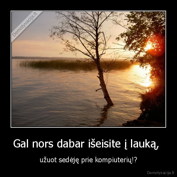 laukas,degradave,vaikai