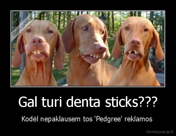 Gal turi denta sticks???