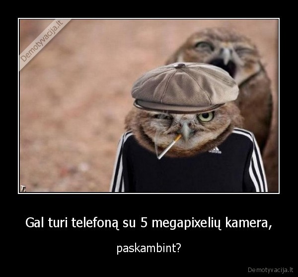 Gal turi telefoną su 5 megapixelių kamera,