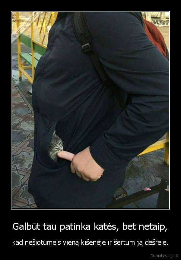 kate,katinas,desrele,kisene