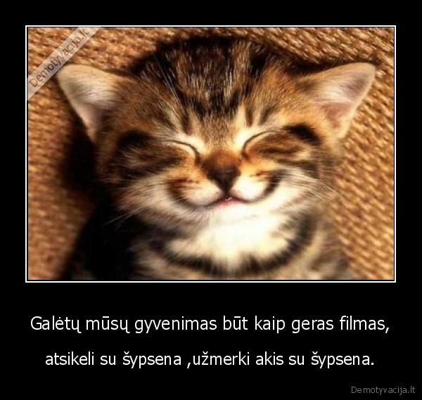 gyvenimas,sypsokytes