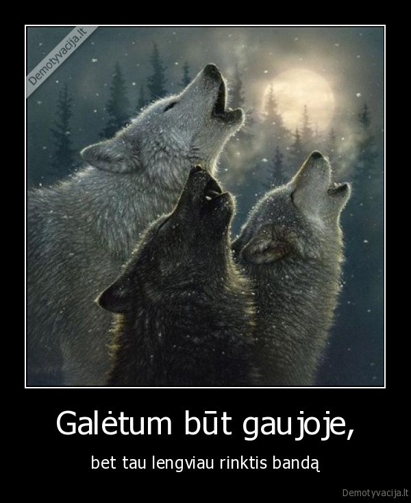 gauja,vilkai,vilku, gauja,banda,avinu, banda,kaukti