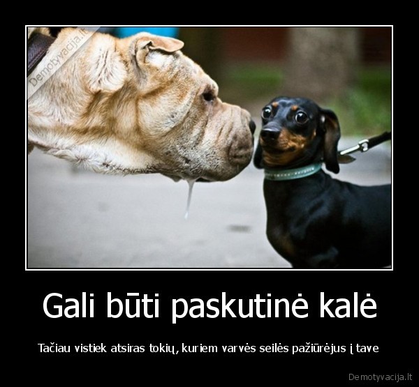 Gali būti paskutinė kalė