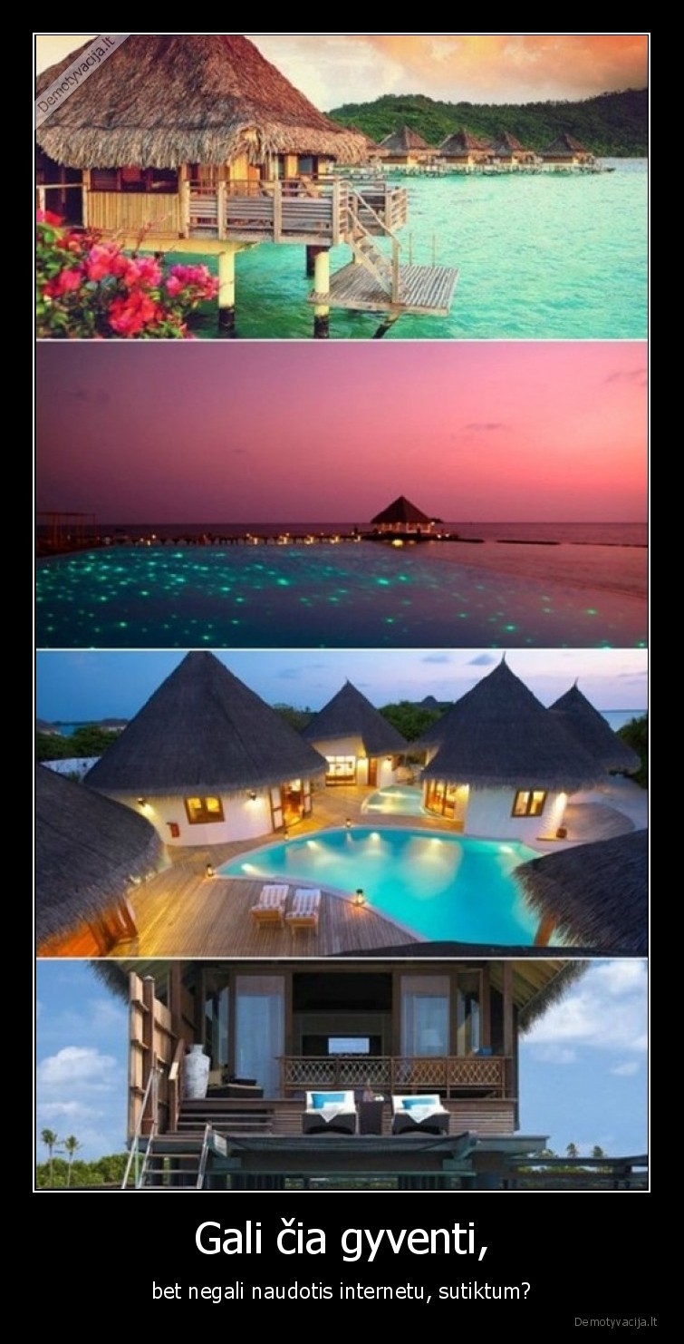 internetas,grazu,smelis,jura