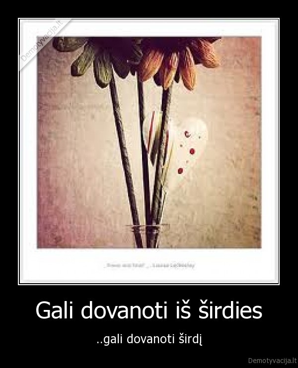 Gali dovanoti iš širdies