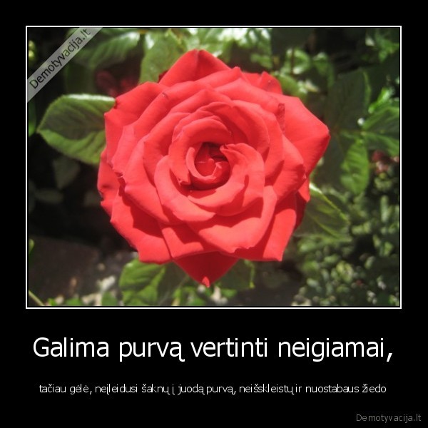 baigem, tinget,einam, gert