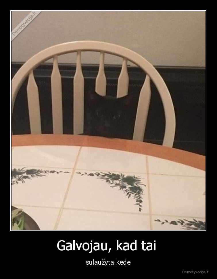 juoda,kate,katinas,sulauzyta,kede