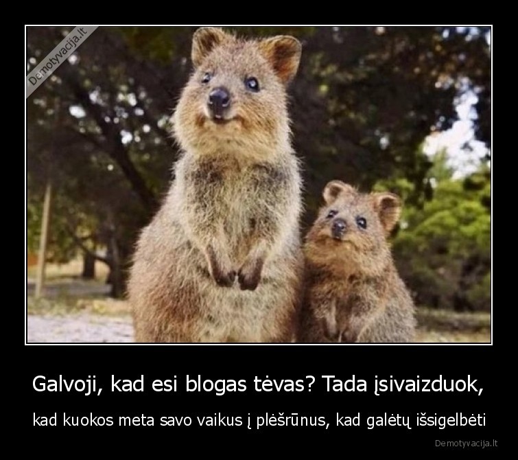 kuoka,issigelbejimas,instinktai