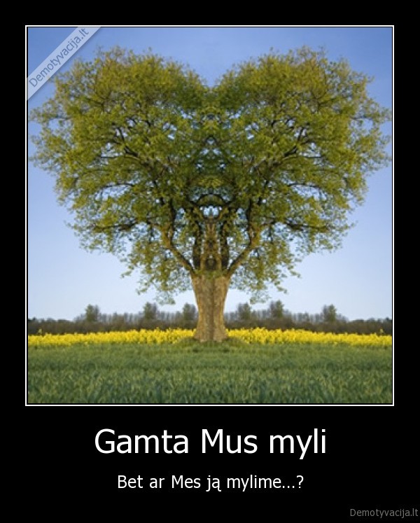 Gamta Mus myli