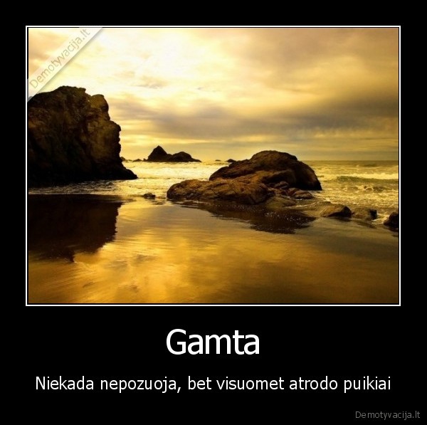 Gamta