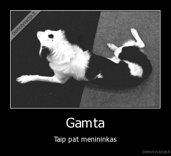 Gamta