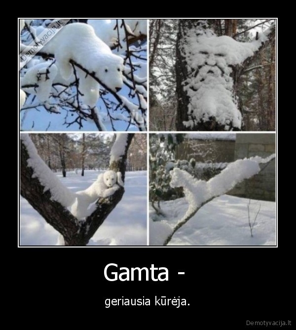 gamta,menas,kuriniai,sniegas