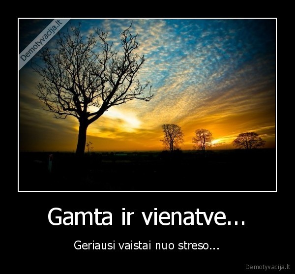 Gamta ir vienatve...