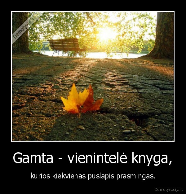 Gamta - vienintelė knyga,