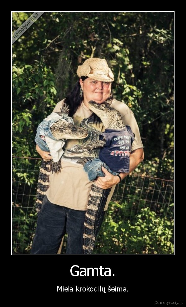pana, kaip, krokodilas, pati