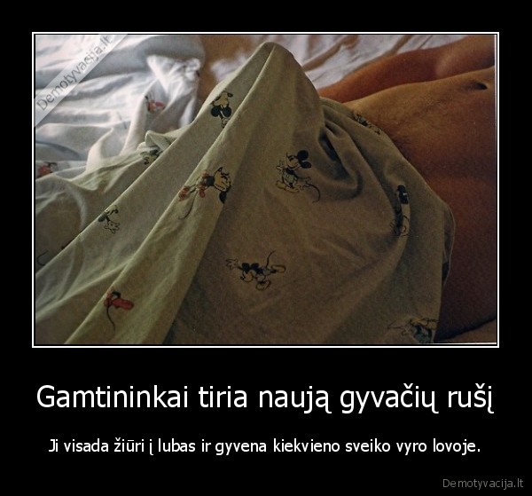 gamtininkai,gyvates,sesiolikmeciai,rytine, erekcija