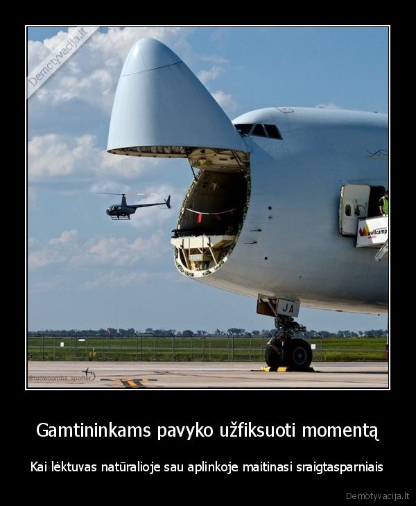 malunsparnis,lektuvas