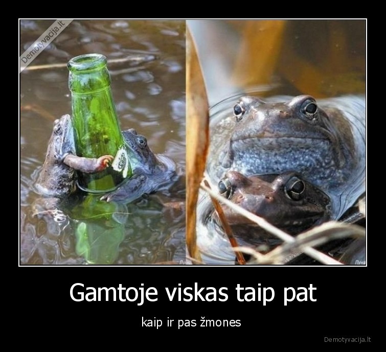 gamta,alkoholis,seksas,varles