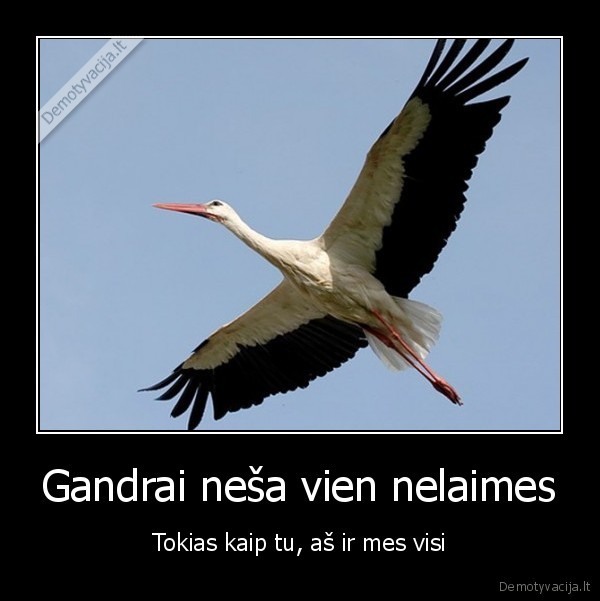 Gandrai neša vien nelaimes