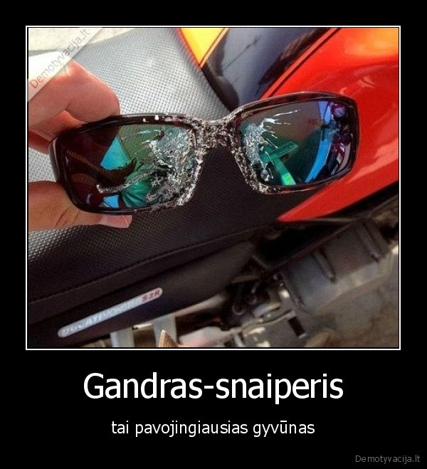 gandras,snaiperis