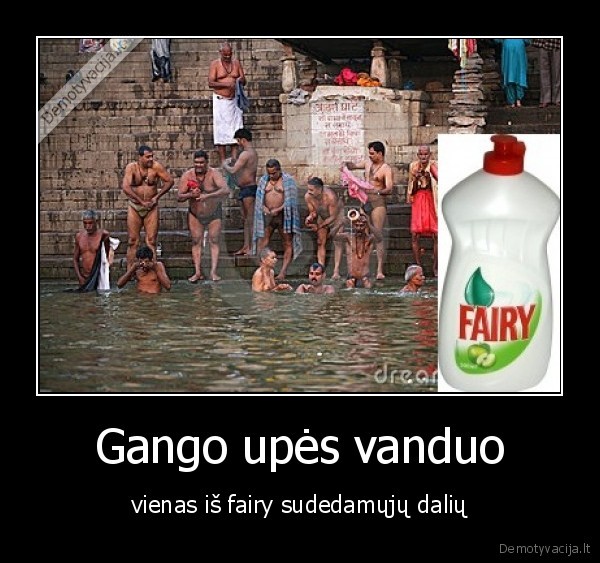 kubilius, neturi, indaploves,indai, plaunas, feiryje