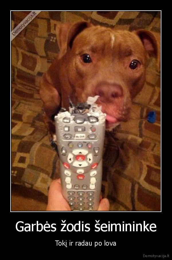 suo,kaltas, suo,sugrauztas, distancinis, pultas