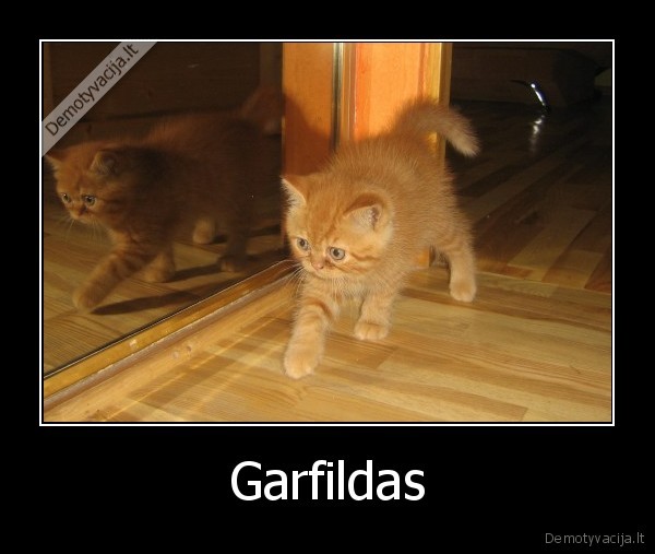 Garfildas