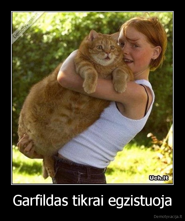 Garfildas tikrai egzistuoja