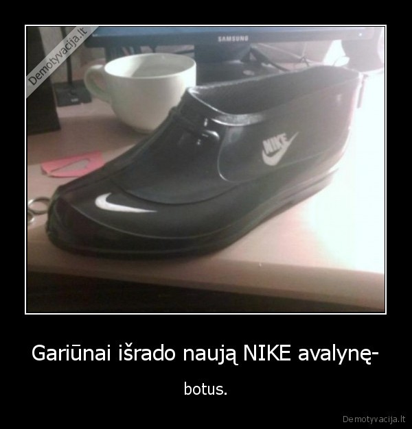 botai,nike