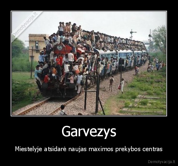 Garvezys