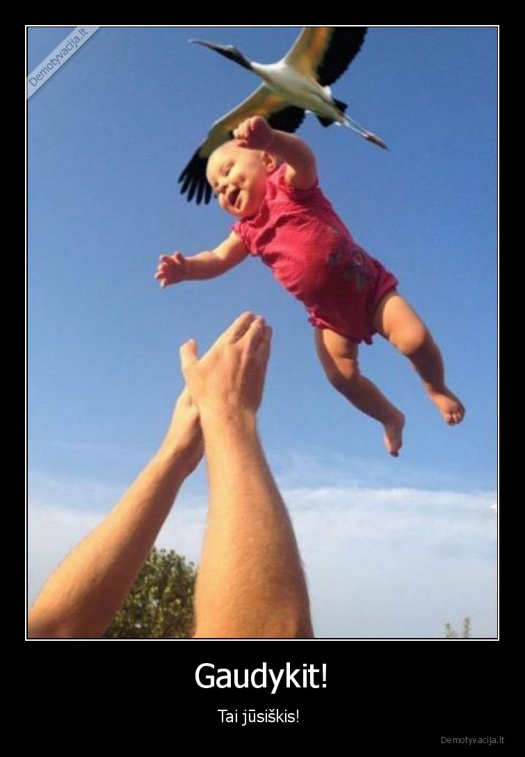 vaikas,gaudyk,gandras