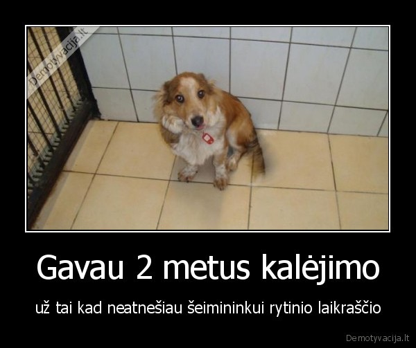 Gavau 2 metus kalėjimo