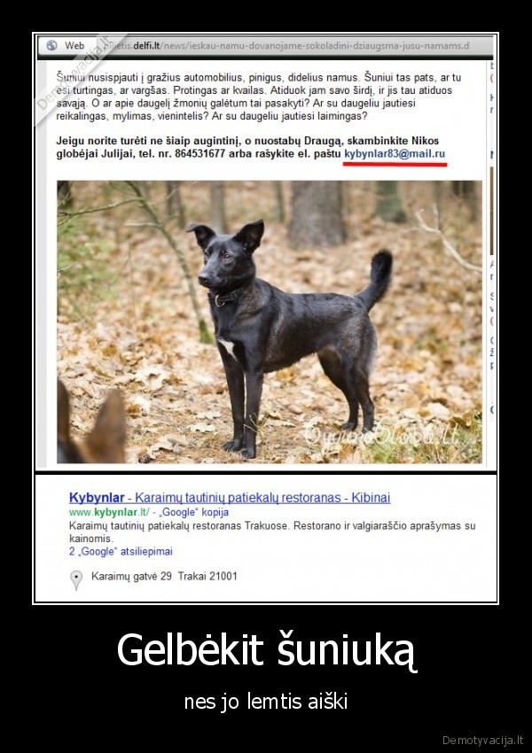 kybynlar,kibinai,suniukas