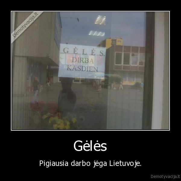 geles,darbo,jega,normaliai,pavare