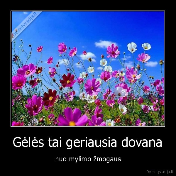 Gėlės tai geriausia dovana