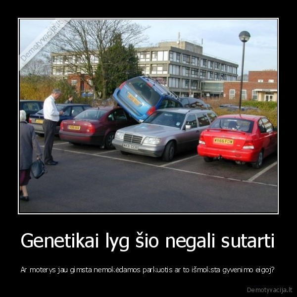 parkavimasis,moteris, uz, vairo,moteris, vairuoja