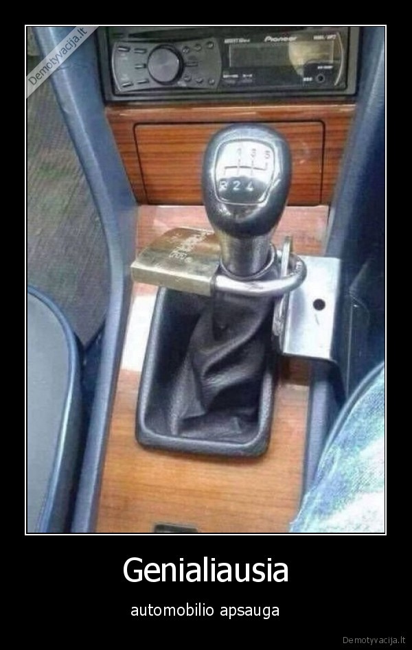 apsauga,automobilis,pavaros