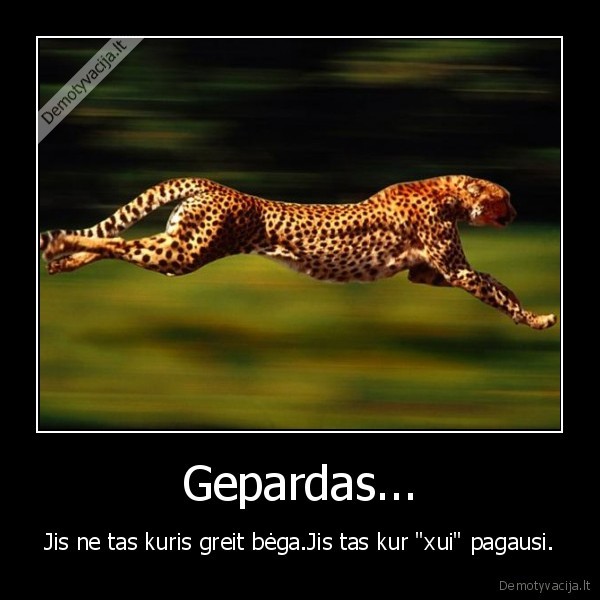 Gepardas...